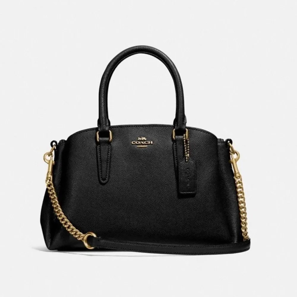 Coach Mini Sage Carryall Crossbody Satchel Bag